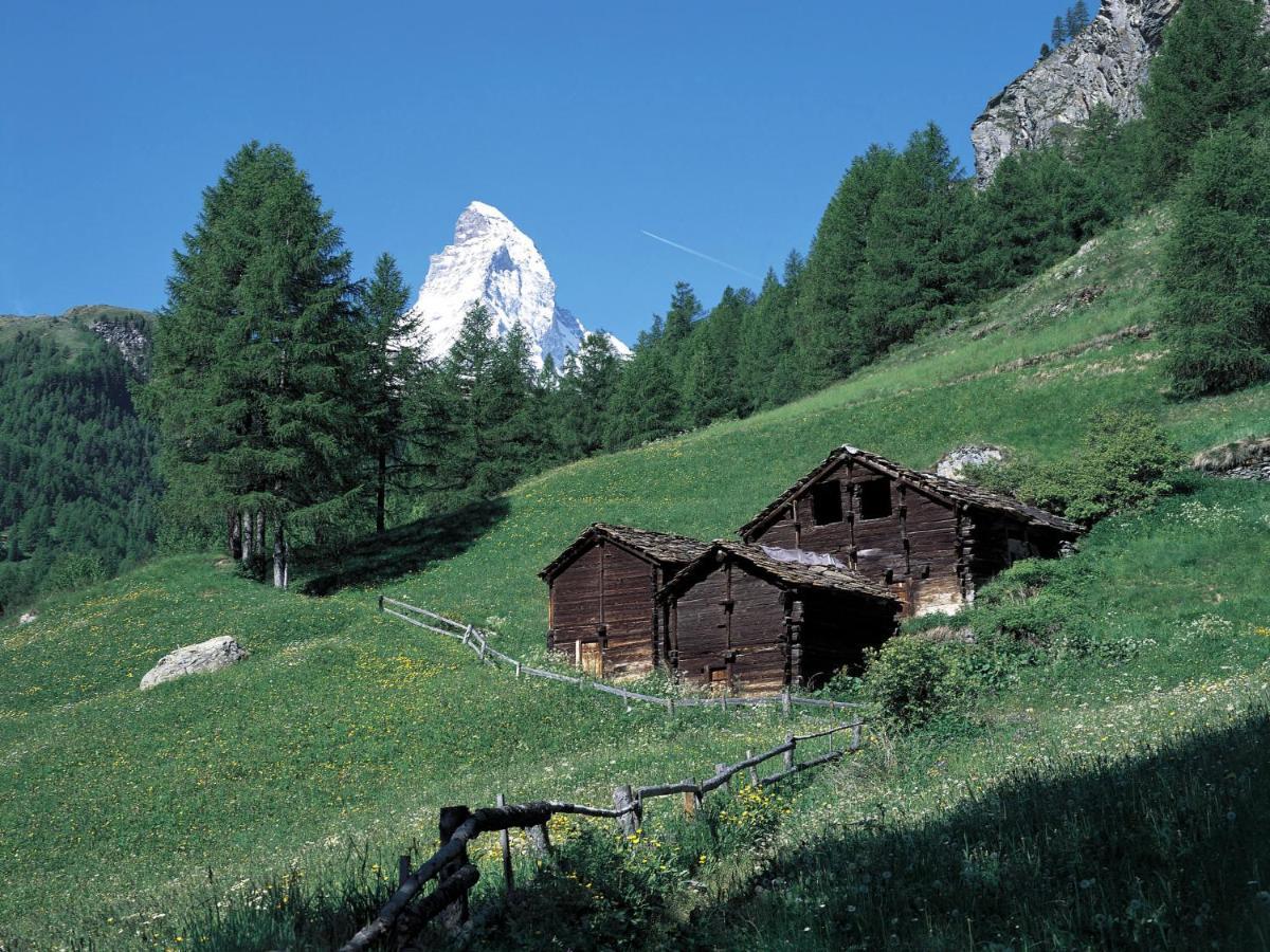 Apartment Bellevue-6 Zermatt Extérieur photo
